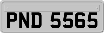 PND5565