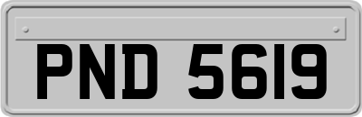PND5619
