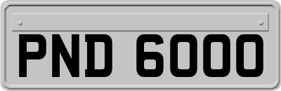 PND6000