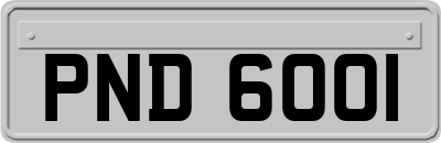 PND6001