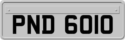 PND6010