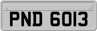 PND6013