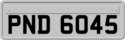 PND6045