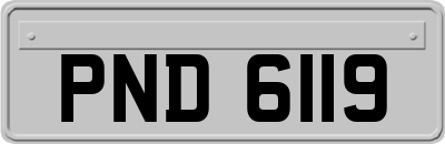 PND6119