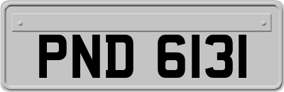 PND6131