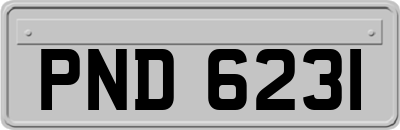 PND6231