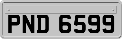 PND6599