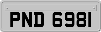 PND6981