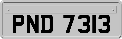 PND7313