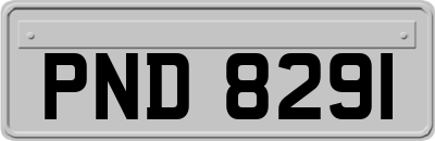 PND8291