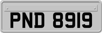 PND8919