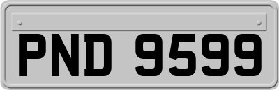 PND9599
