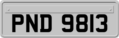 PND9813