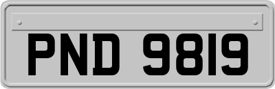 PND9819