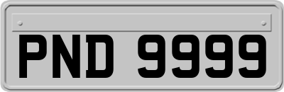 PND9999