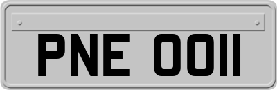 PNE0011