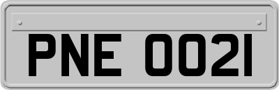PNE0021