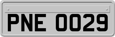 PNE0029