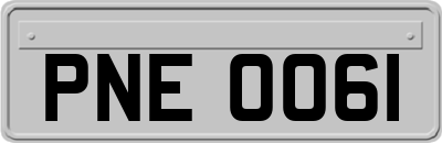 PNE0061