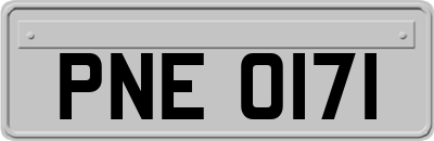 PNE0171