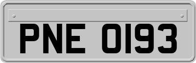 PNE0193