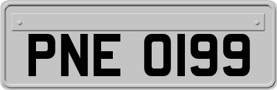 PNE0199