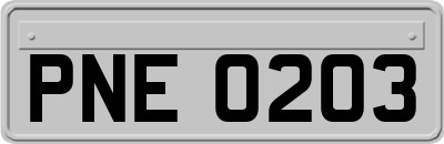 PNE0203