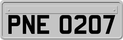 PNE0207