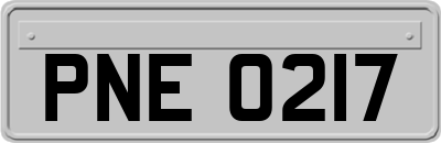 PNE0217