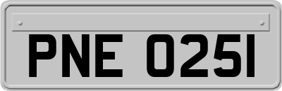 PNE0251