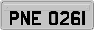 PNE0261