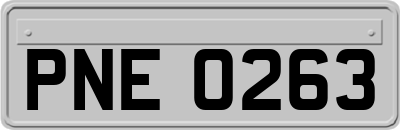 PNE0263