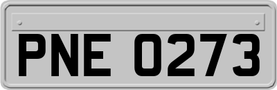 PNE0273