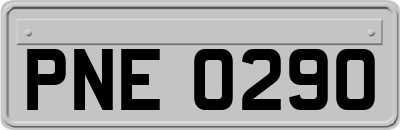 PNE0290