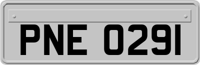 PNE0291