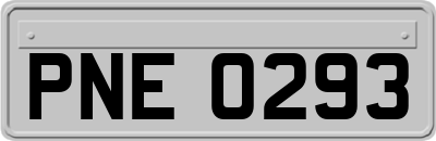 PNE0293