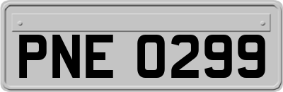PNE0299