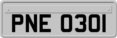 PNE0301