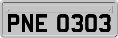 PNE0303