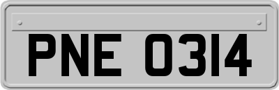 PNE0314
