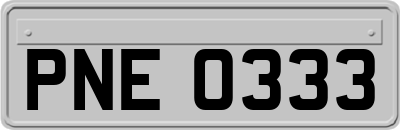 PNE0333