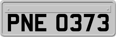 PNE0373