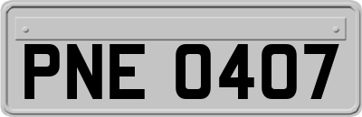 PNE0407