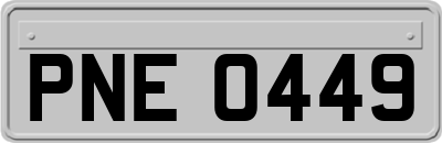 PNE0449