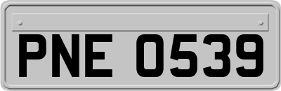 PNE0539
