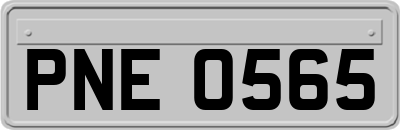 PNE0565