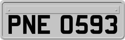 PNE0593