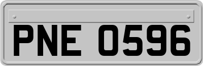 PNE0596