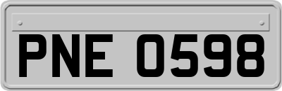PNE0598