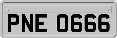 PNE0666
